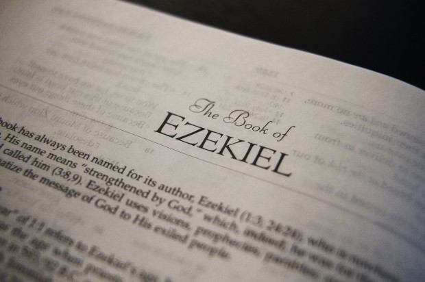 Dr Michael Heiser on Ezekiel 31 Divine Council | William Rusty Osborne Kings and Trees
